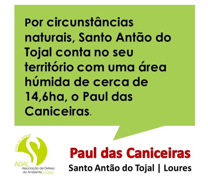 2023  |  DEZEMBRO  |  N.º 104