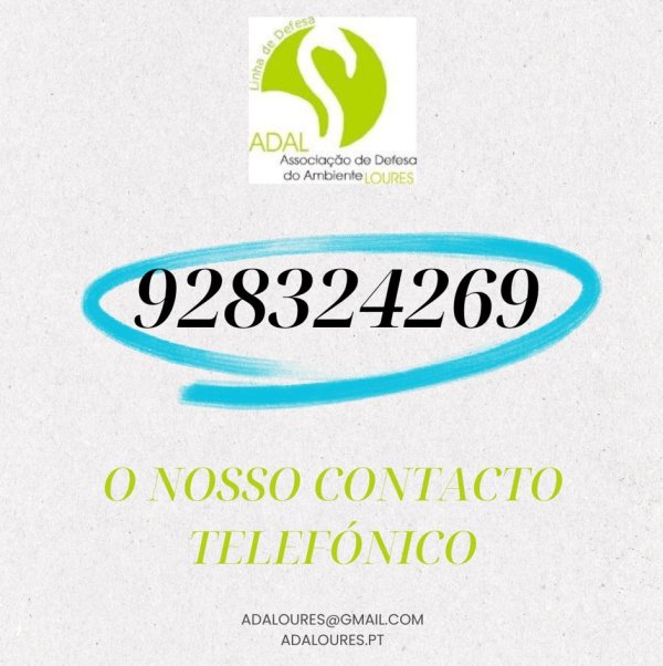 2025  |  JULHO  |  N.º 121