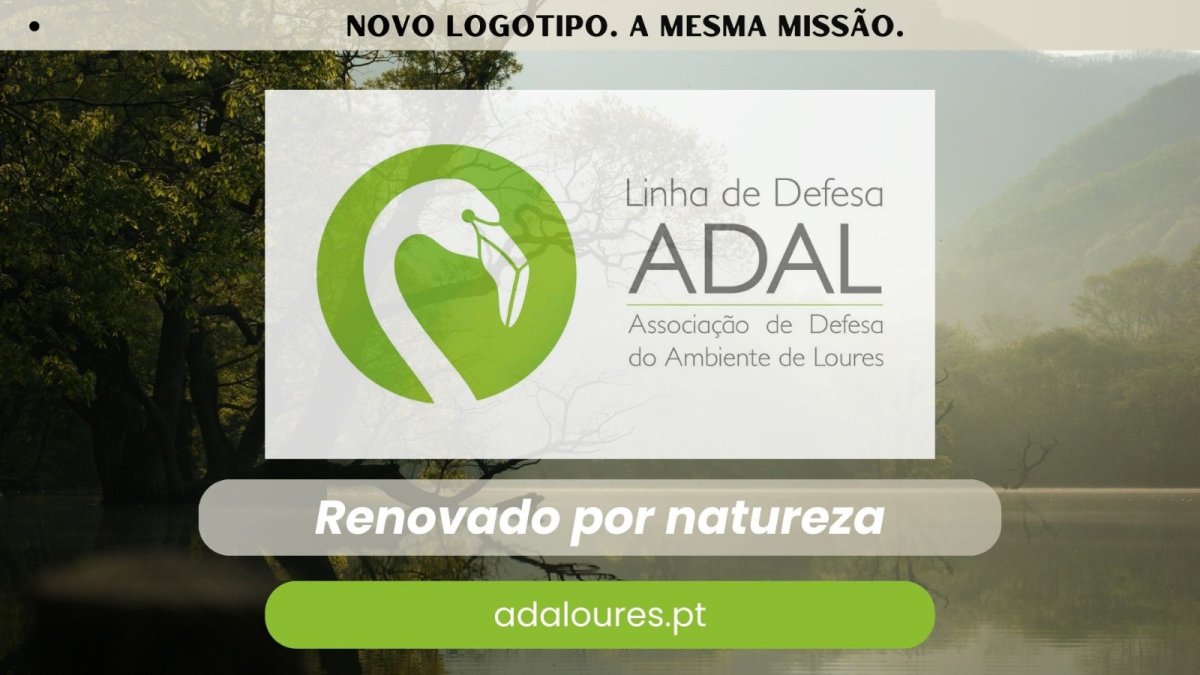 2026  |  JANEIRO  |  N.º 126